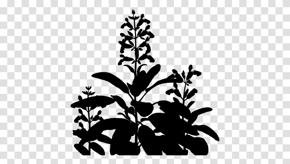 Flowering Leaf Plant Stem Free Image Clipart Plant Silhouette, Gray, World Of Warcraft Transparent Png