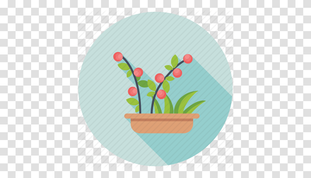 Flowering Plant Houseplant Indoor Plants Nature Potted Plant Icon, Birthday Cake, Food, Produce Transparent Png