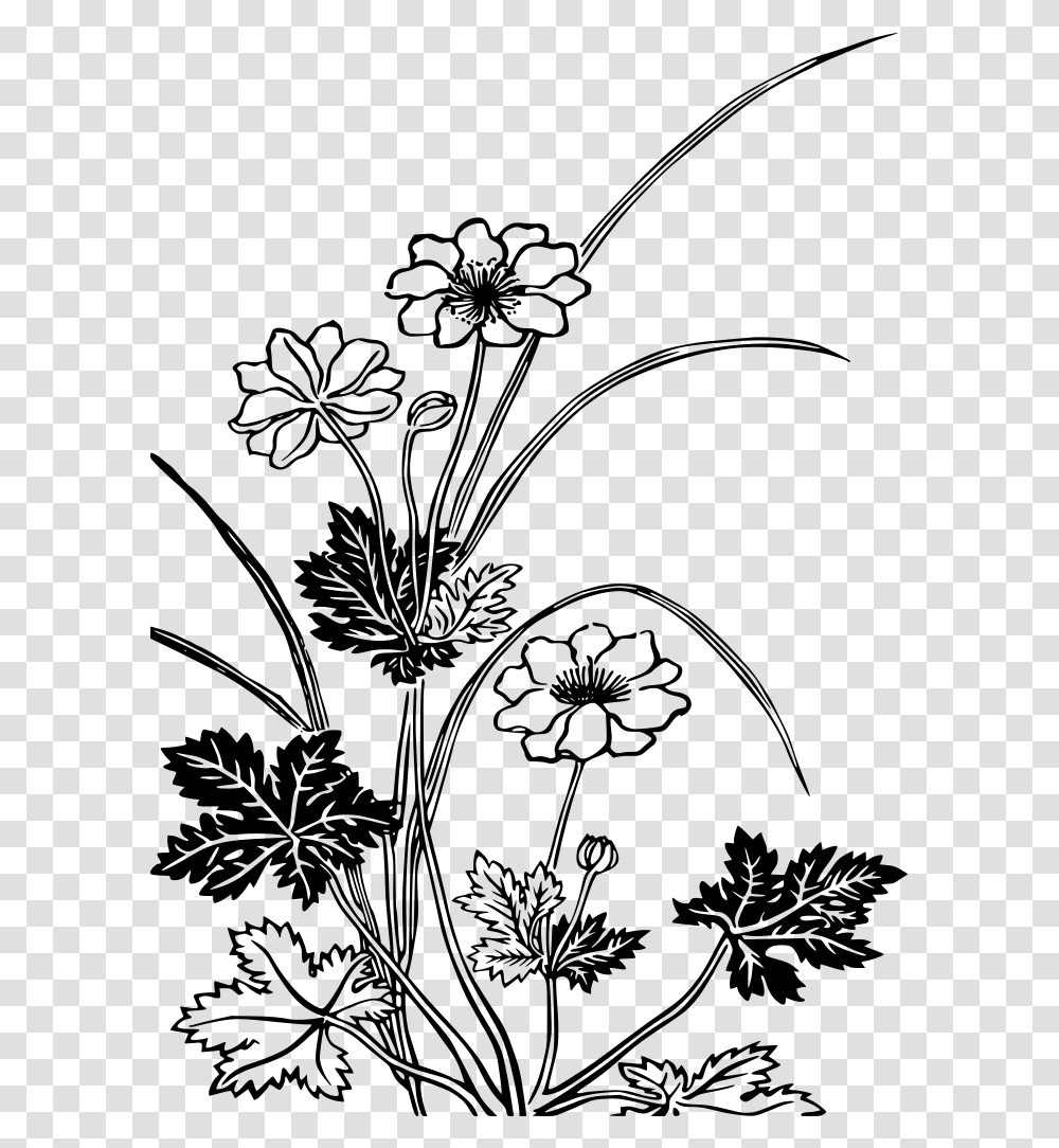 Flowering Plants Black And White, Gray, World Of Warcraft Transparent Png