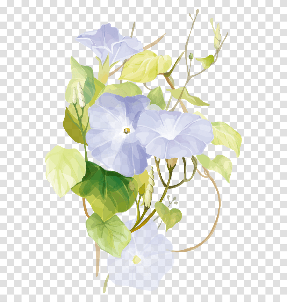 Flowering Vine Prints, Plant, Blossom, Hibiscus, Geranium Transparent Png