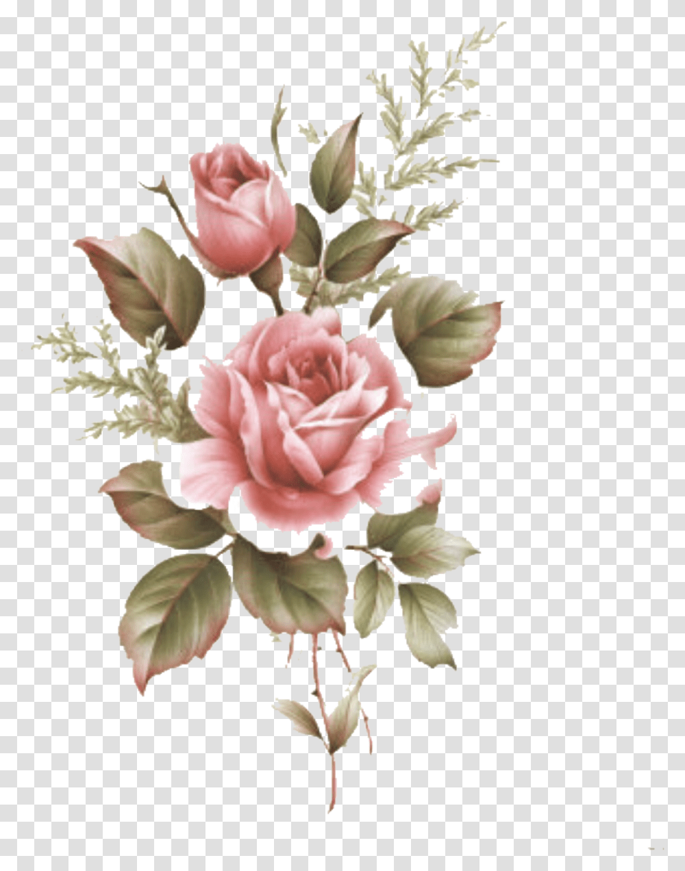 Flowerpng Rose Overlays Kpopedit Freetoedit Nolza Flower Drawing Tumblr Color, Floral Design, Pattern Transparent Png