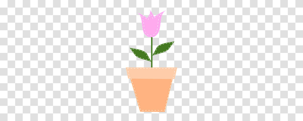 Flowerpot Technology, Plant, Blossom, Tulip Transparent Png