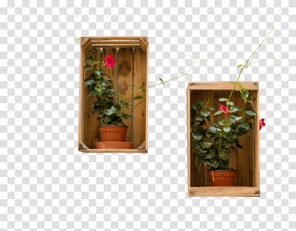 Flowerpot Clip, Holiday Transparent Png