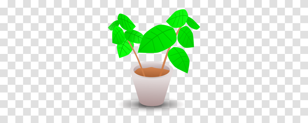 Flowerpot Cactus Plants Thorns Spines And Prickles Drawing Free, Saucer, Pottery, Coffee Cup, Leaf Transparent Png
