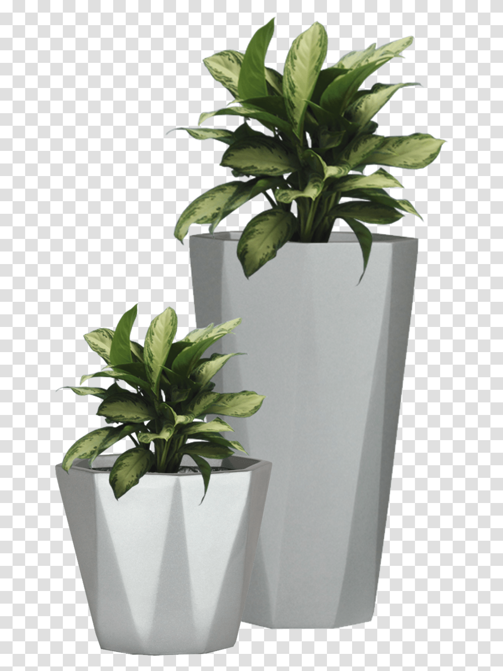 Flowerpot Etsy Wall Decal Succulent Plant With Pot, Potted Plant, Vase, Jar, Pottery Transparent Png