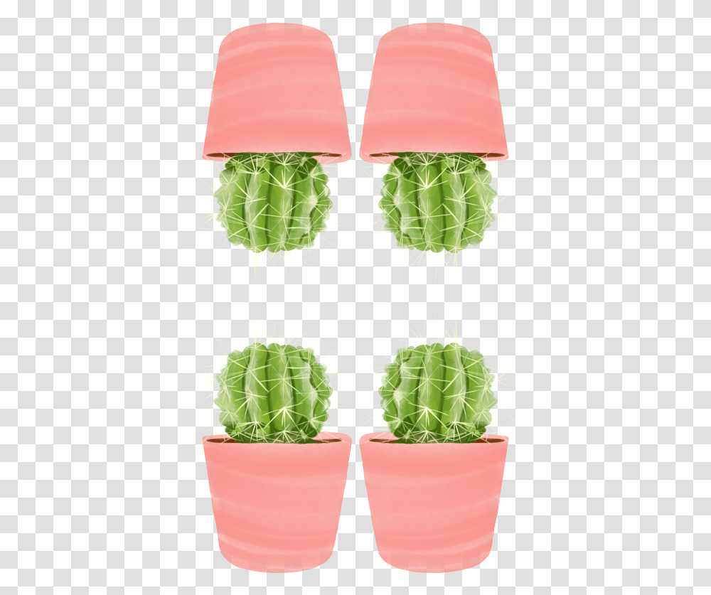 Flowerpot, Plant, Cactus Transparent Png