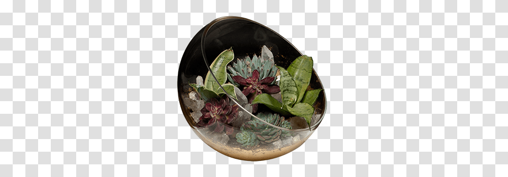 Flowerpot, Plant, Flower Arrangement, Glass, Leaf Transparent Png