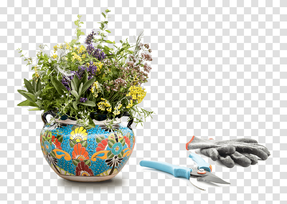 Flowerpot, Plant, Ikebana, Vase Transparent Png