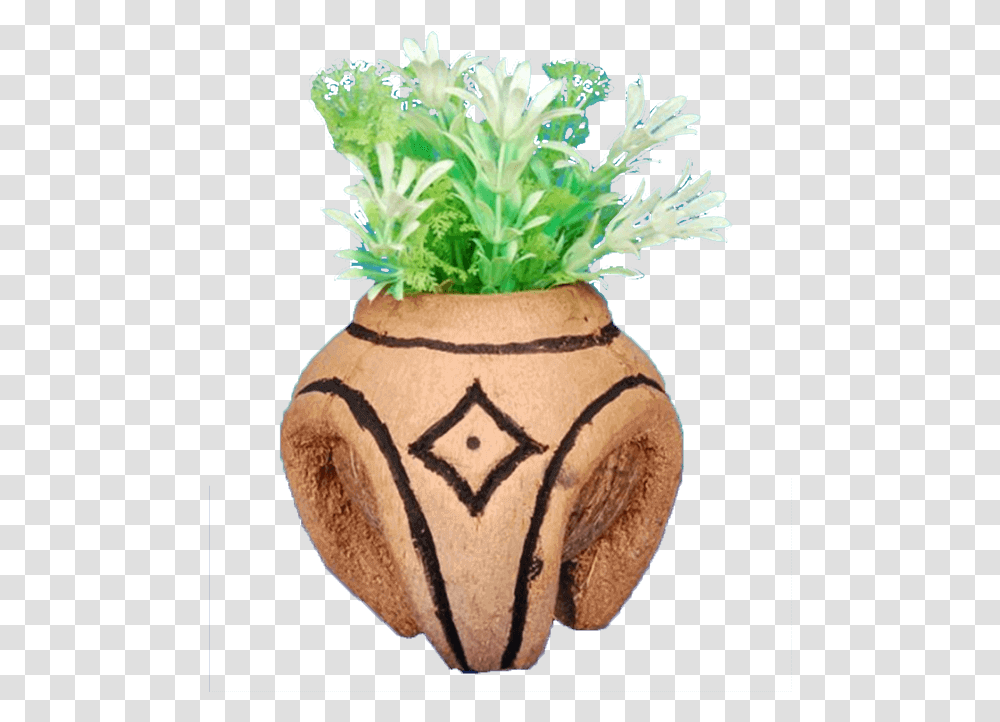 Flowerpot, Plant, Jar, Pineapple, Fruit Transparent Png