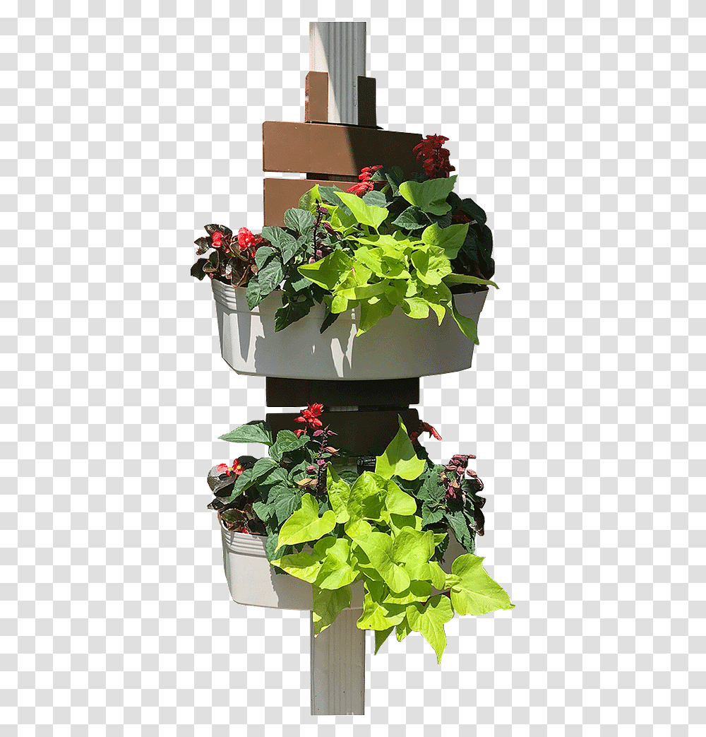 Flowerpot, Plant, Leaf, Paper, Wedding Cake Transparent Png