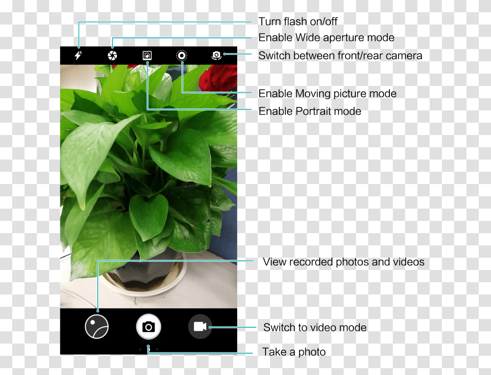 Flowerpot, Plant, Leaf, Potted Plant, Vase Transparent Png