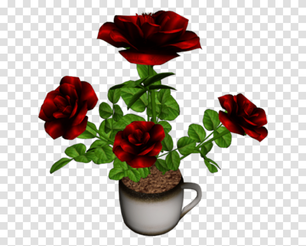 Flowerpot, Plant, Rose, Blossom, Pottery Transparent Png