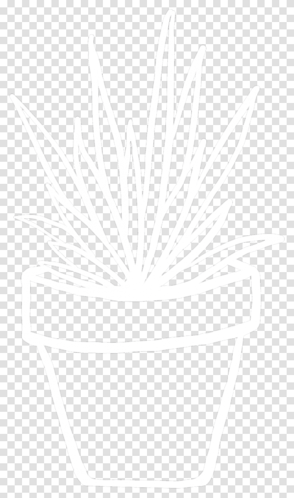 Flowerpot, Plant, Stencil, Blossom Transparent Png