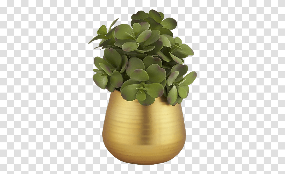 Flowerpot, Plant, Vase, Jar, Pottery Transparent Png