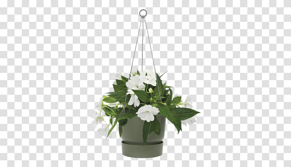 Flowerpot, Plant, Vase, Jar, Pottery Transparent Png