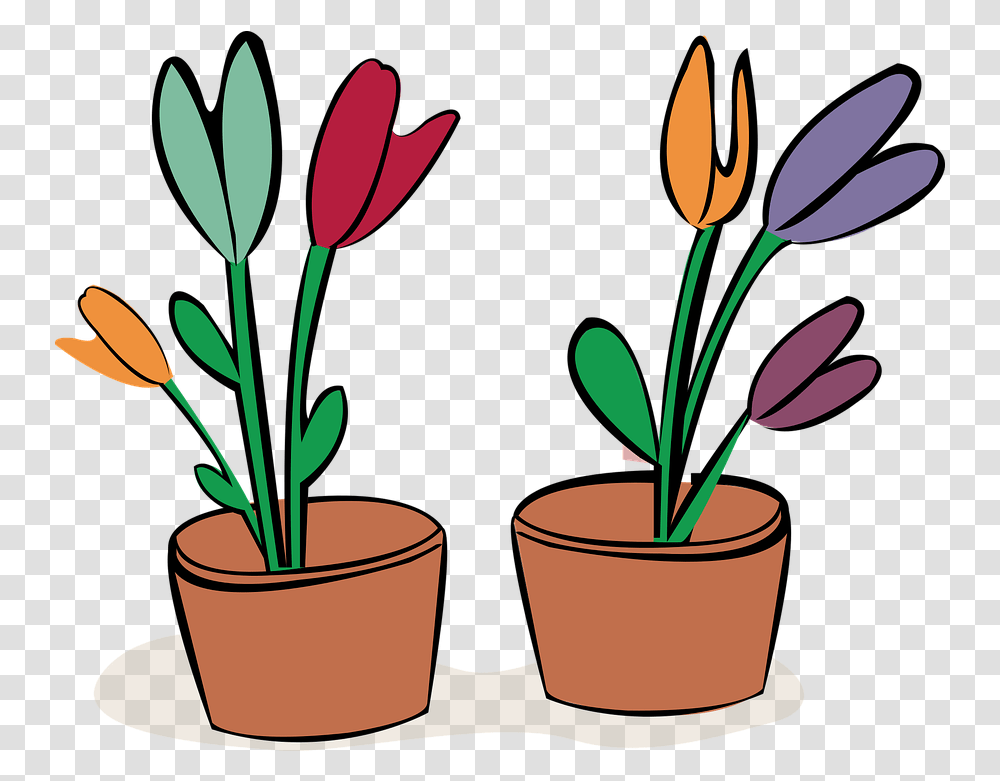 Flowerpot Planter Vase Flowerpot, Blossom, Tulip, Petal, Leaf Transparent Png