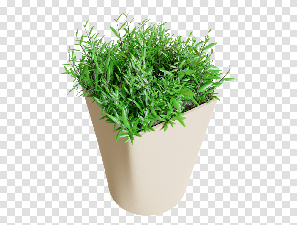 Flowerpot, Potted Plant, Vase, Jar, Pottery Transparent Png