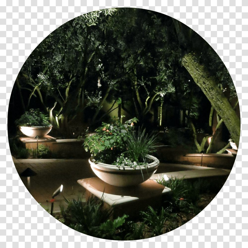 Flowerpot, Potted Plant, Vase, Jar, Pottery Transparent Png
