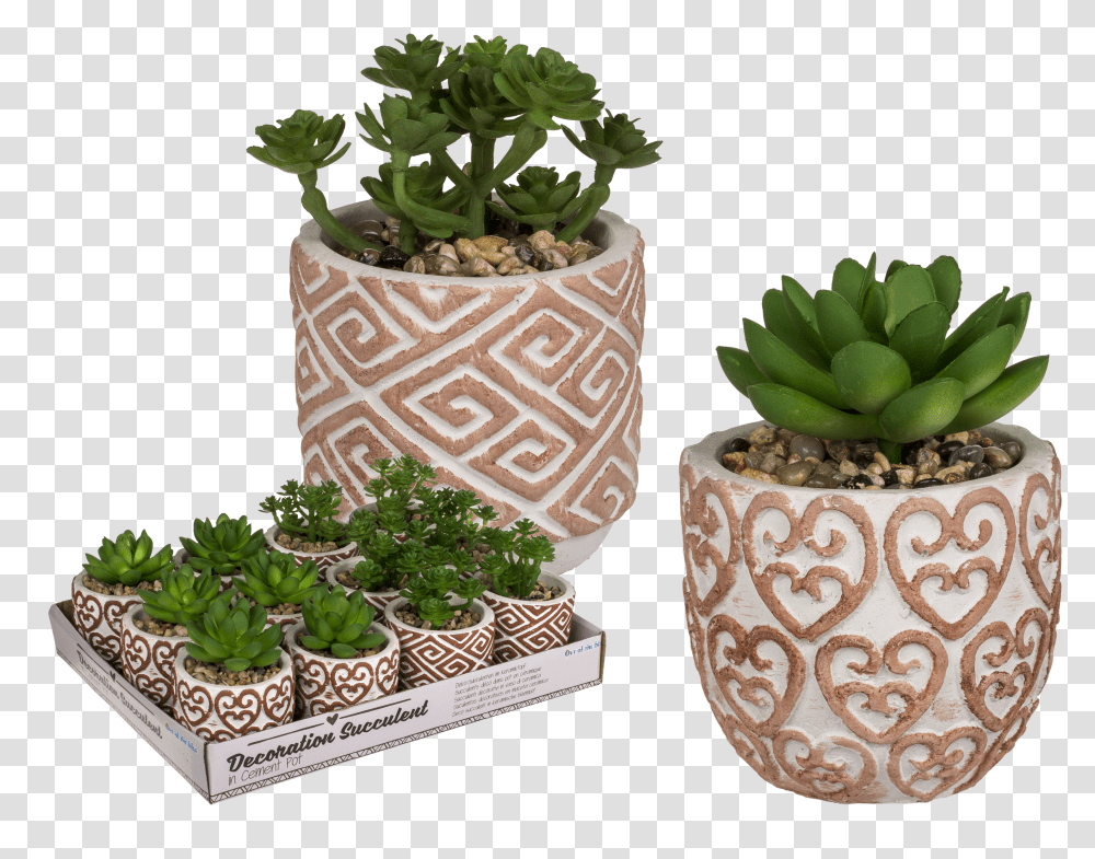 Flowerpot Transparent Png