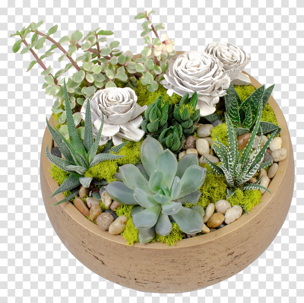 Flowerpot Transparent Png