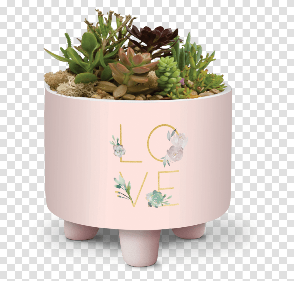 Flowerpot, Vegetation, Plant, Wedding Cake, Dessert Transparent Png