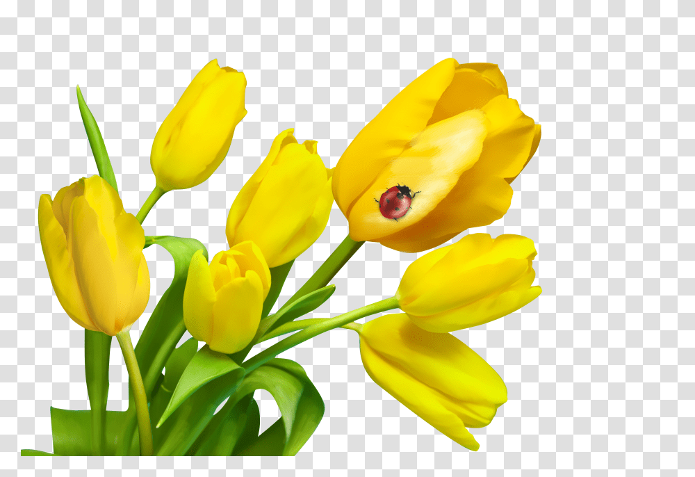 Flowers Clip, Person Transparent Png