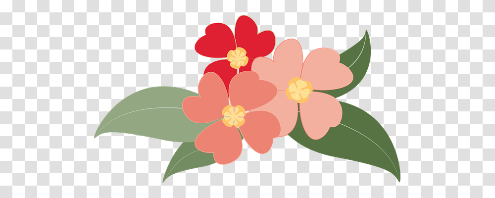 Flowers Nature, Plant, Blossom, Hair Slide Transparent Png