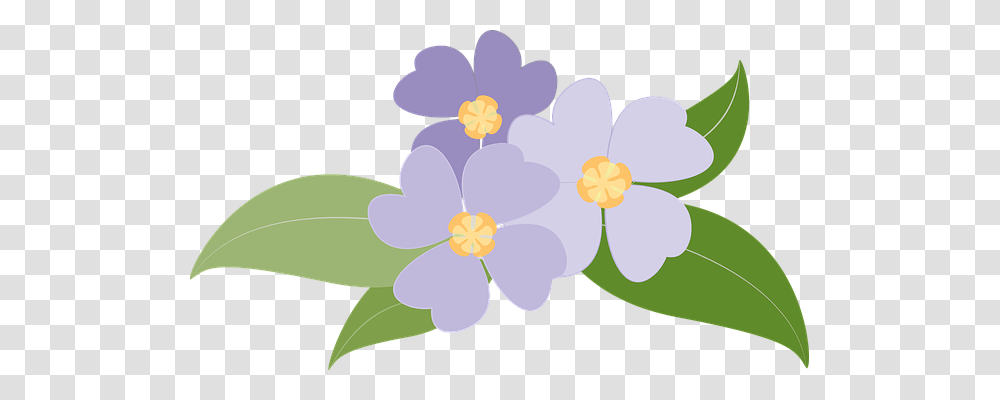 Flowers Nature, Plant, Petal, Floral Design Transparent Png