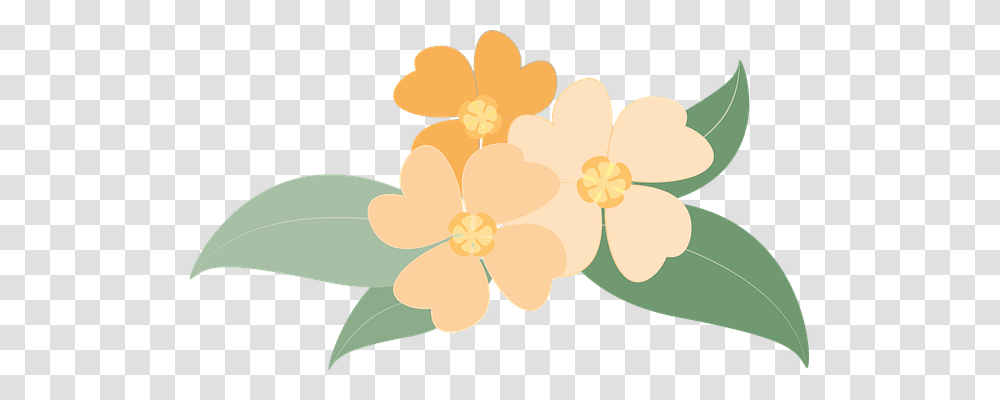 Flowers Nature, Icing, Cream, Cake Transparent Png