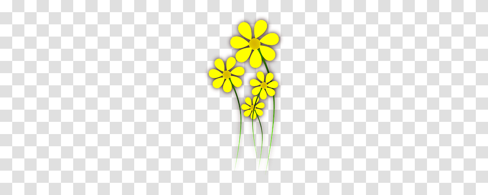 Flowers Nature, Floral Design Transparent Png