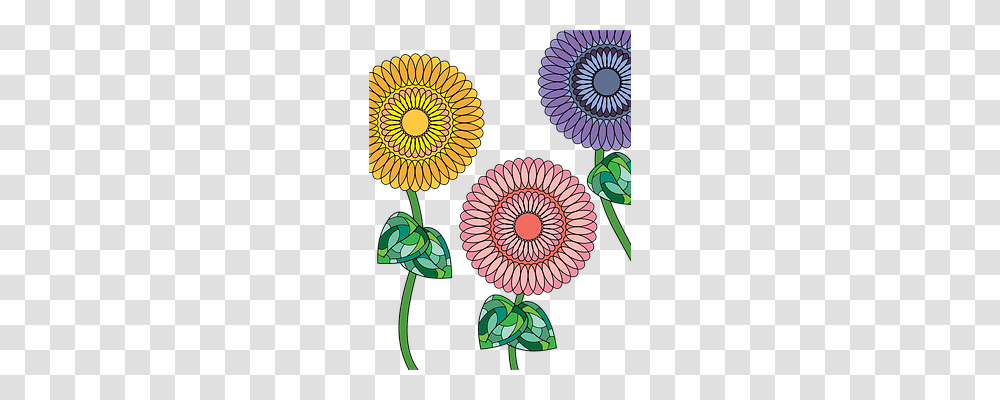 Flowers Nature, Pattern Transparent Png