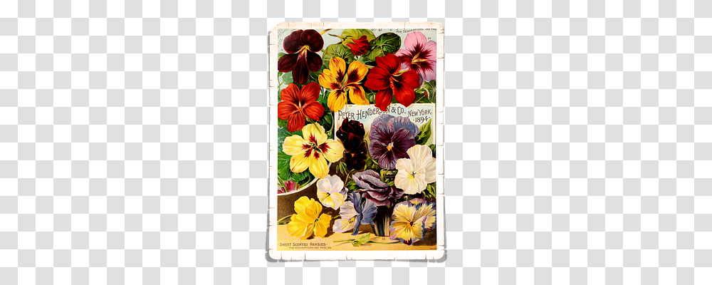 Flowers Nature, Plant, Poster, Advertisement Transparent Png