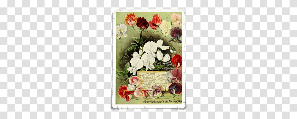 Flowers Nature, Envelope, Floral Design Transparent Png