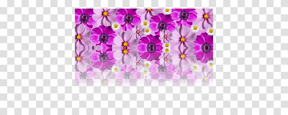 Flowers Nature, Purple Transparent Png