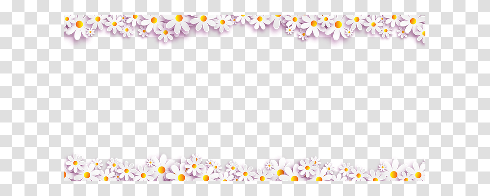 Flowers Emotion, Plant, Floral Design, Pattern Transparent Png