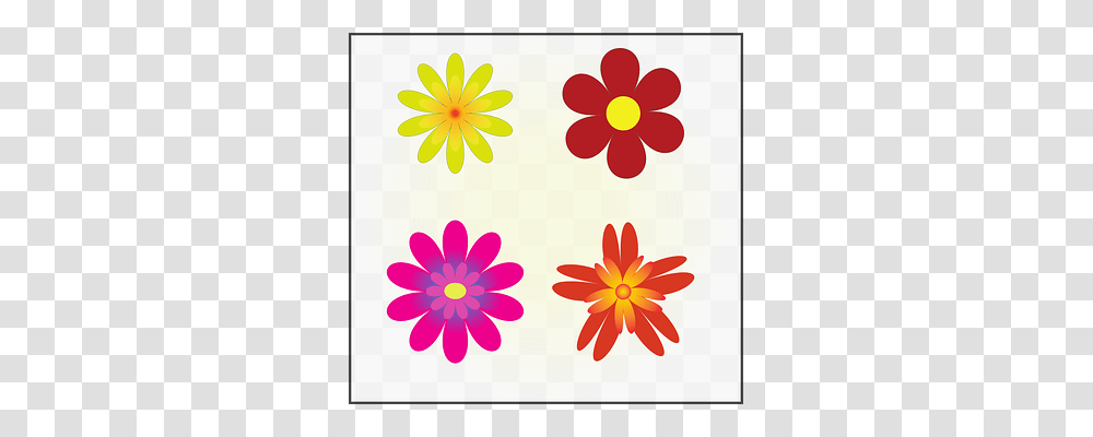 Flowers Nature, Plant, Daisy, Daisies Transparent Png