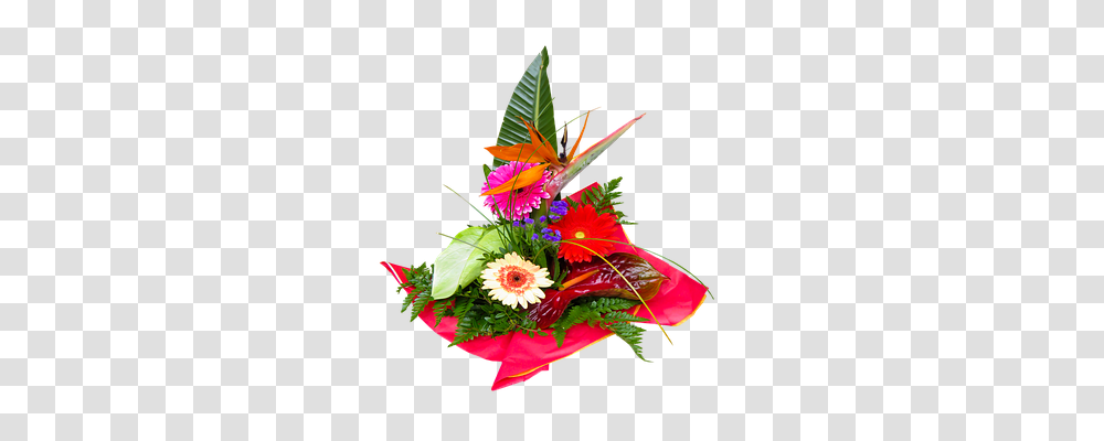 Flowers Emotion, Plant, Blossom, Ikebana Transparent Png