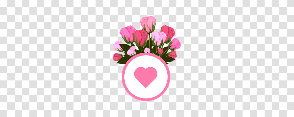 Flowers Plant, Blossom, Flower Bouquet, Flower Arrangement Transparent Png