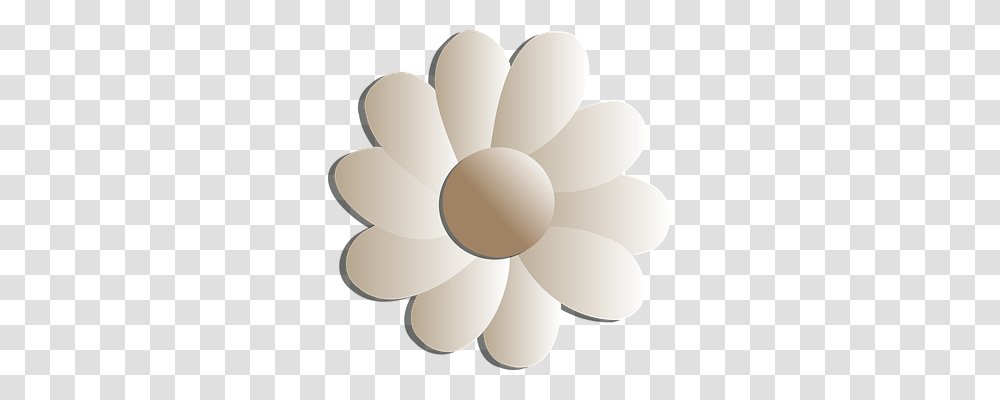 Flowers Tool, Lamp, Plant, Blossom Transparent Png
