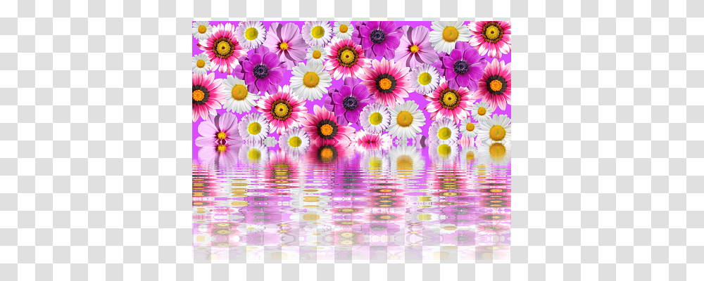 Flowers Nature, Floral Design Transparent Png