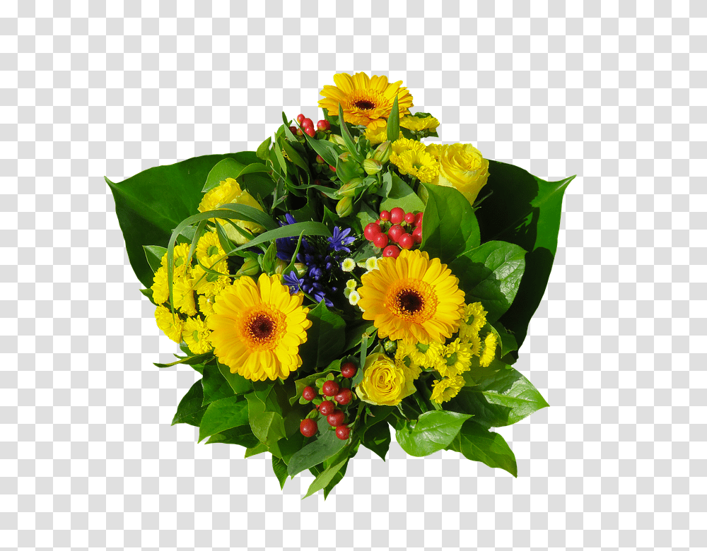 Flowers 960, Plant, Blossom, Flower Bouquet, Flower Arrangement Transparent Png