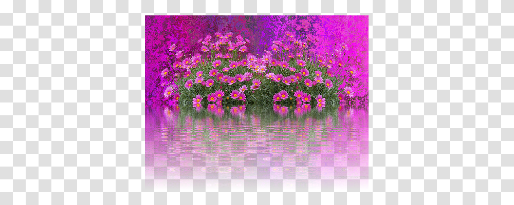 Flowers Nature, Purple, Geranium, Plant Transparent Png
