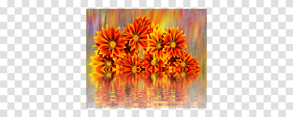 Flowers Nature, Plant, Blossom, Dahlia Transparent Png