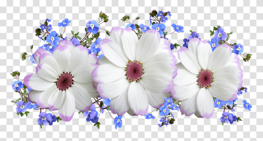 Flowers 960, Plant, Pollen, Blossom, Geranium Transparent Png