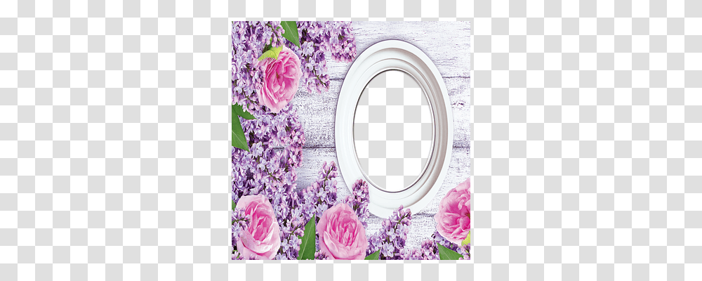 Flowers Nature, Plant, Blossom, Lilac Transparent Png