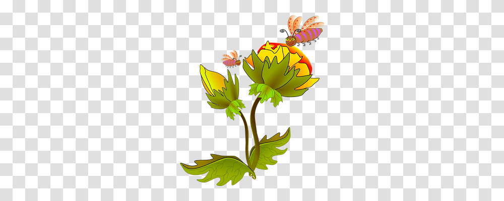 Flowers Animals, Plant, Anther, Blossom Transparent Png