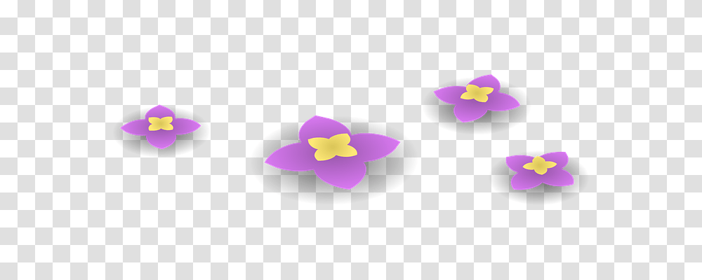 Flowers Nature, Plant, Petal, Blossom Transparent Png