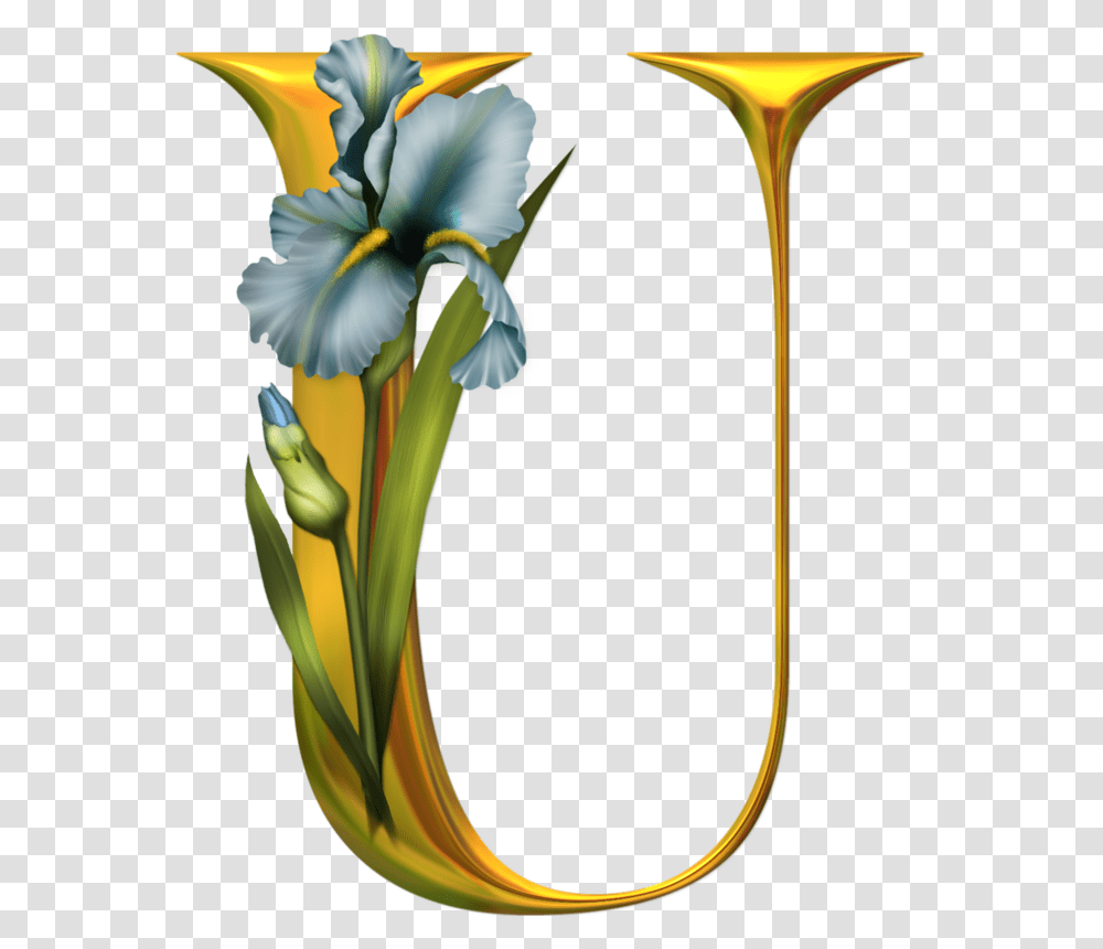Flowers Alphabet Letters U, Plant, Iris, Blossom Transparent Png