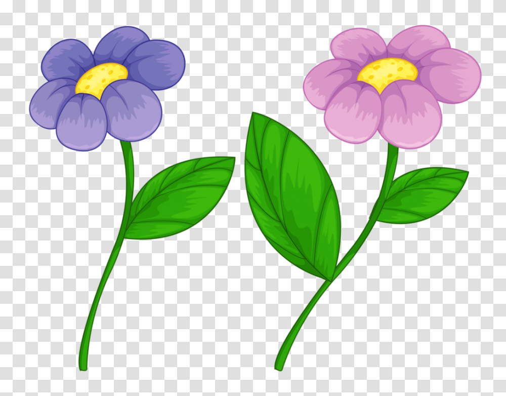 Flowers And Album, Plant, Anemone, Geranium, Petal Transparent Png