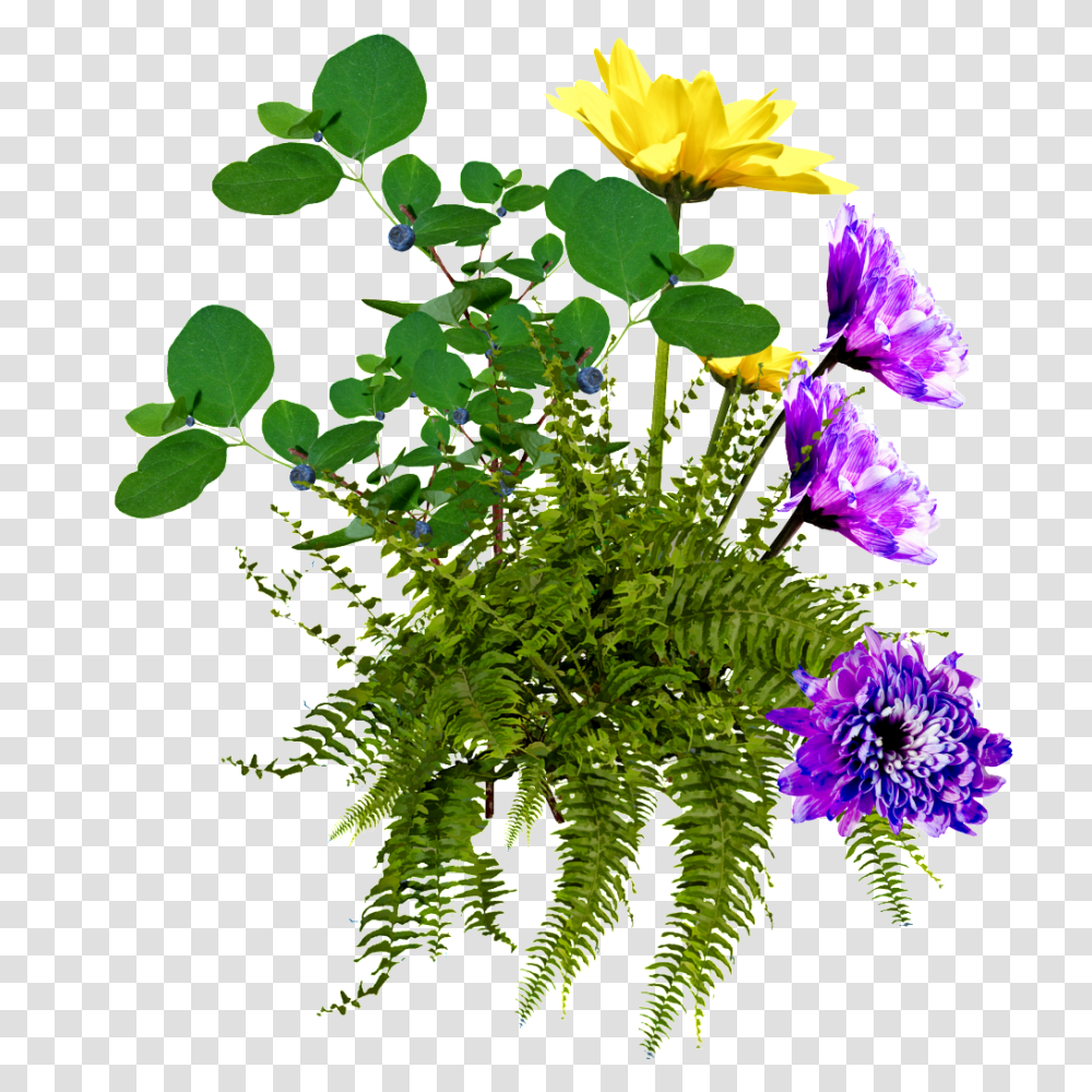 Flowers And Plants With Background Free Download, Vase, Jar, Pottery, Potted Plant Transparent Png
